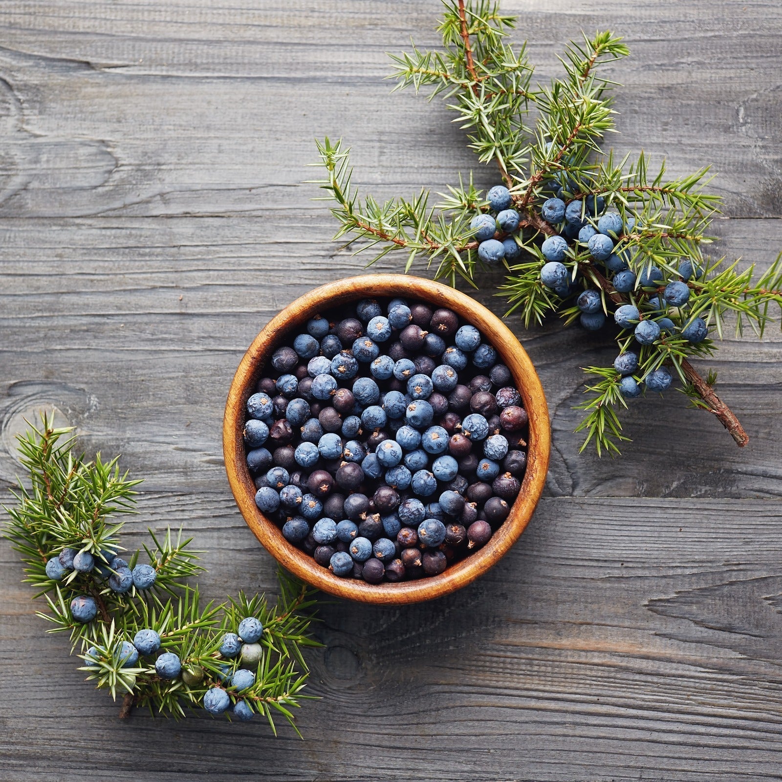 Juniper Berries: Food for Skin and Soul