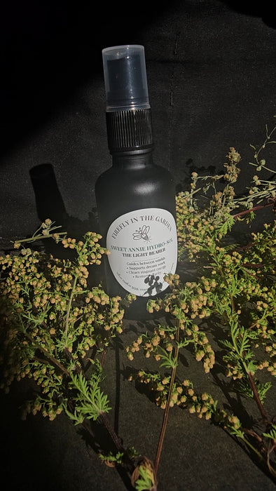 The Light Bearer — Artemisia annua Hydrosol/Toner