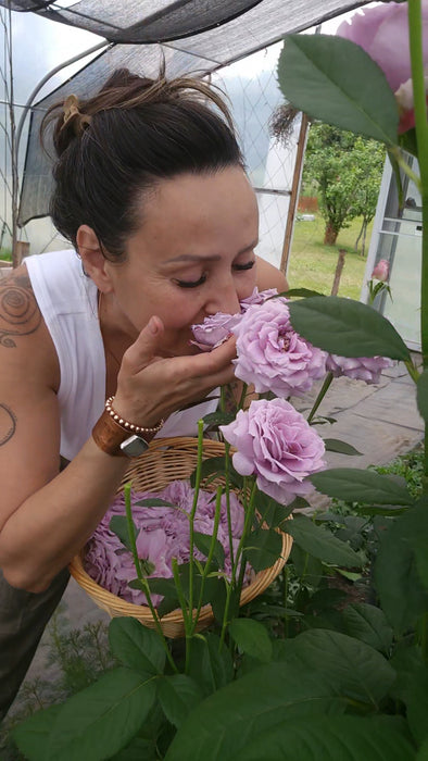 WORKSHOP Rose Radiance DIY slkin-care