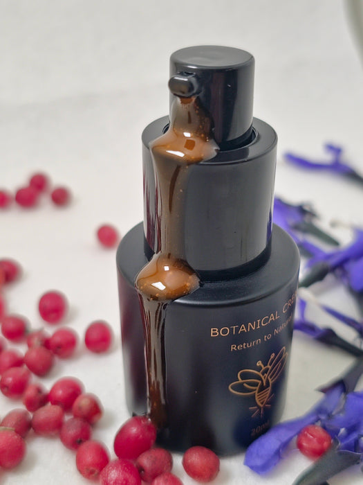 Autumn Botanical Infusions Box