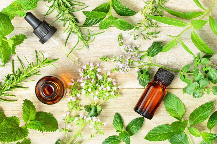 WORKSHOP The Truth about Essential Oils