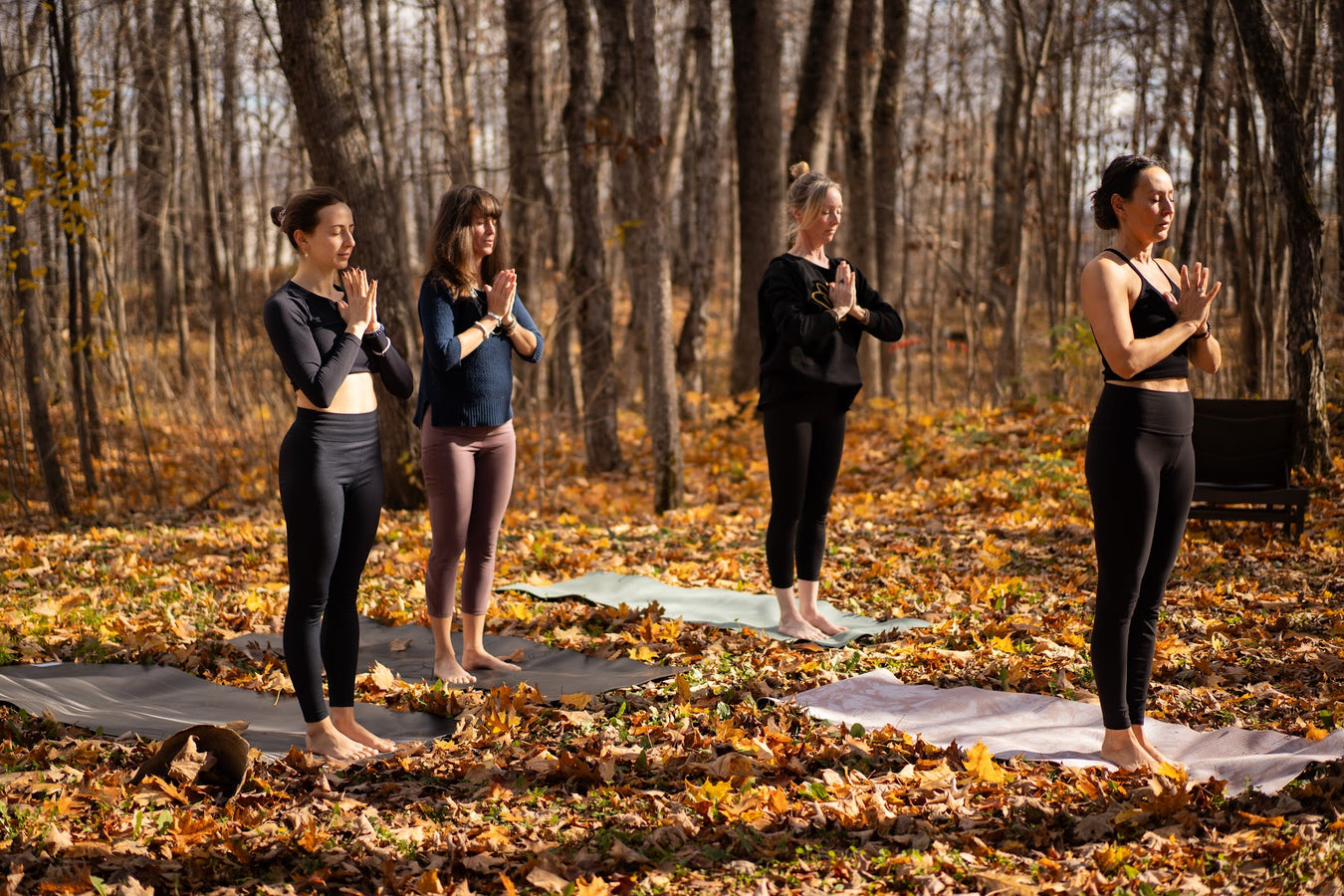 Classes & Workshops